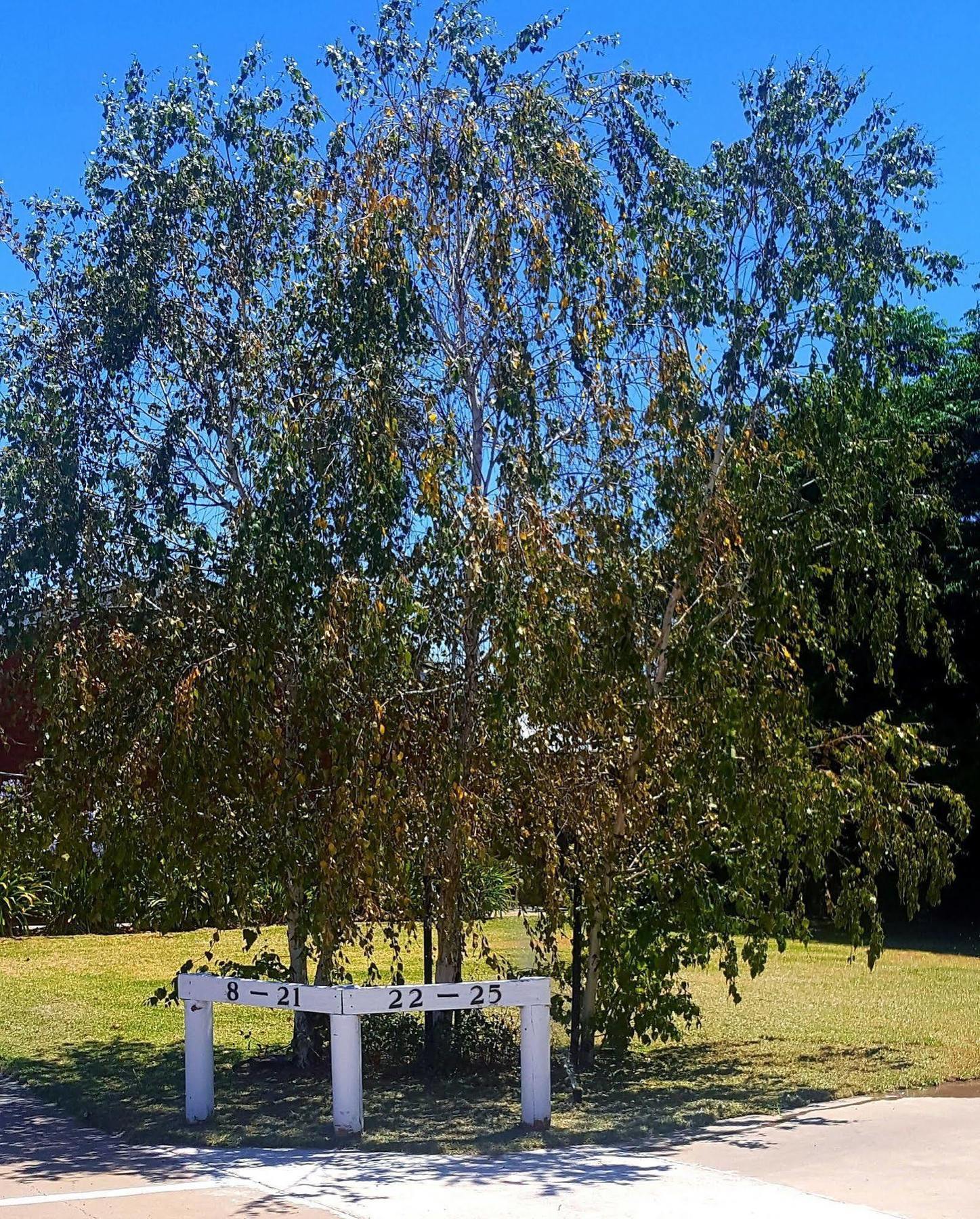 Centrepoint Motel Deniliquin Eksteriør billede